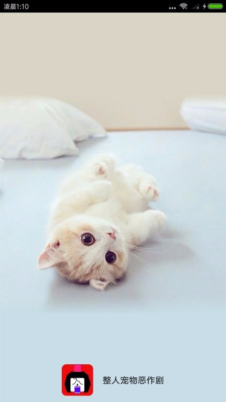 ���˳��������