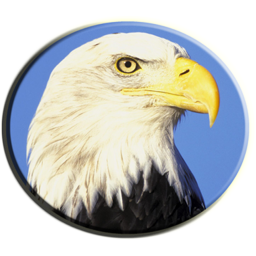 ��ѧ�����ֻ�app�������-��ѧ���� v4.0.1 ��׿��