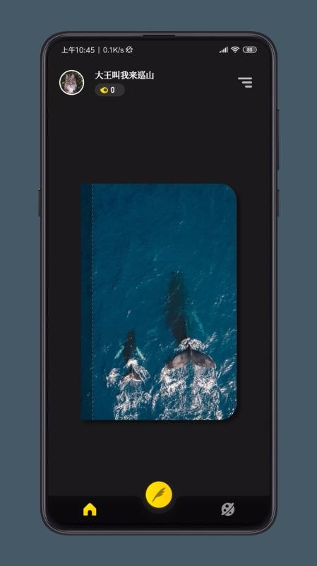 ֽ���ռ��ֻ�app�������-ֽ���ռ� v1.6.0 ��׿��