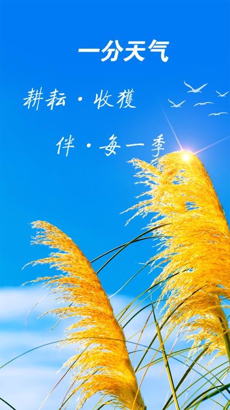 一分天气