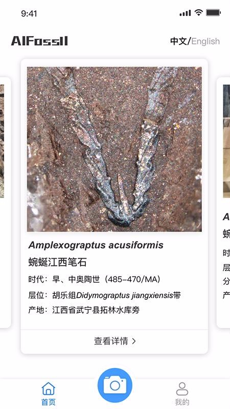 AIFossil�ֻ�app�������-AIFossil v1.05 ��׿��