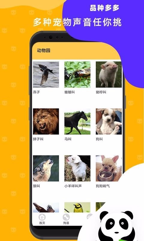 è�����������ֻ�app�������-è���������� v1.0 ��׿��