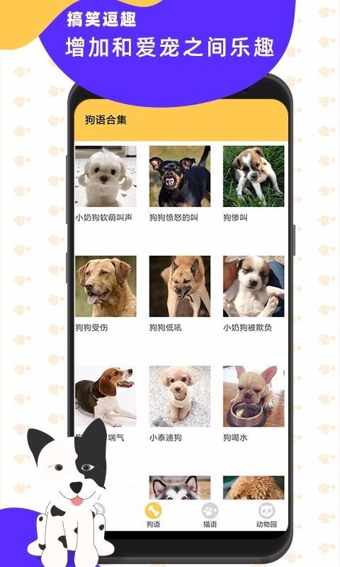 è�����������ֻ�app�������-è���������� v1.0 ��׿��