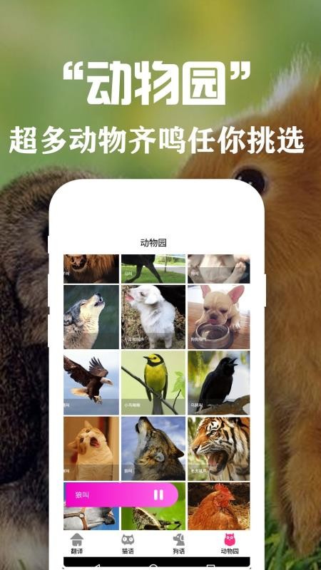 ���﷭�뽻�����ֻ�app�������-���﷭�뽻���� v1.1 ��׿��
