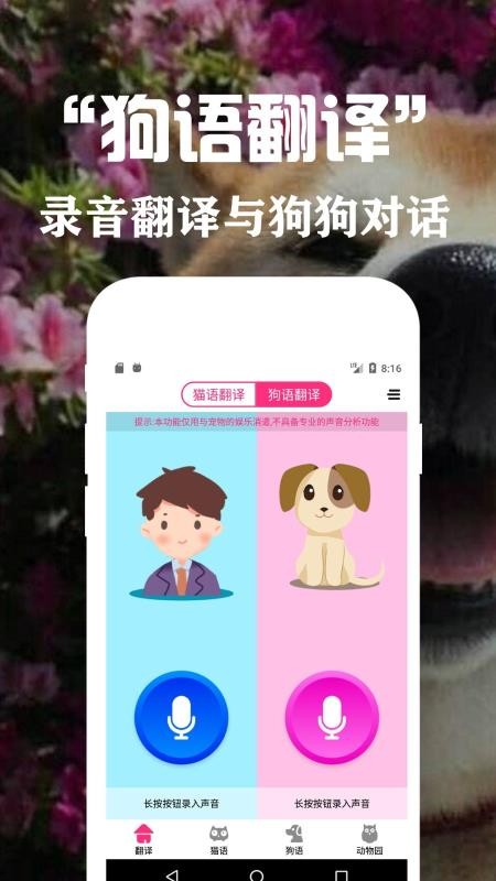 ���﷭�뽻�����ֻ�app�������-���﷭�뽻���� v1.1 ��׿��