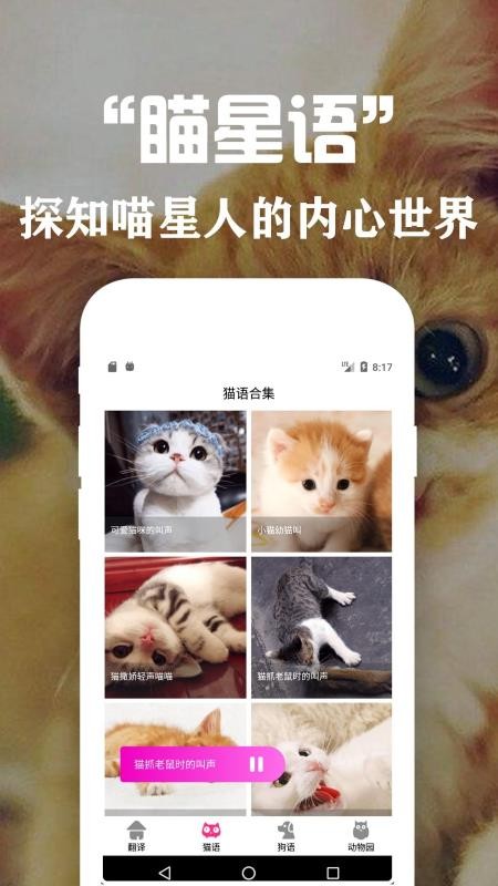 ���﷭�뽻�����ֻ�app�������-���﷭�뽻���� v1.1 ��׿��