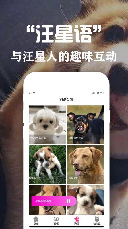 ���﷭�뽻�����ֻ�app�������-���﷭�뽻���� v1.1 ��׿��