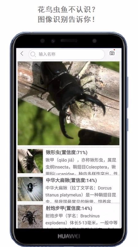 ����ͷ���ֻ�app�������-����ͷ�� v1.0.2 ��׿��