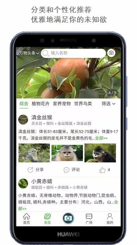 ����ͷ���ֻ�app�������-����ͷ�� v1.0.2 ��׿��