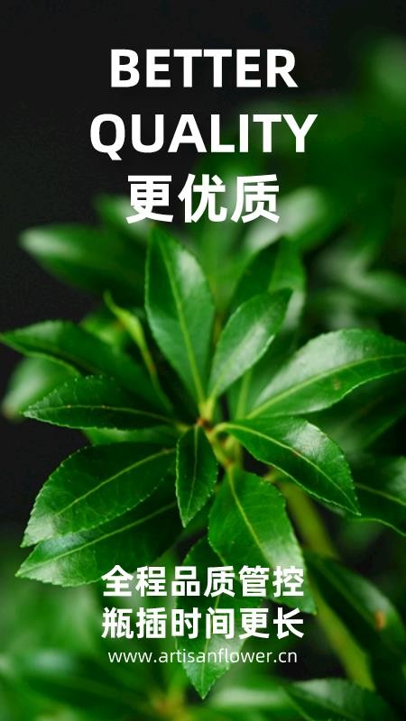 ˻ֻapp-˻ v5.0.978 ׿