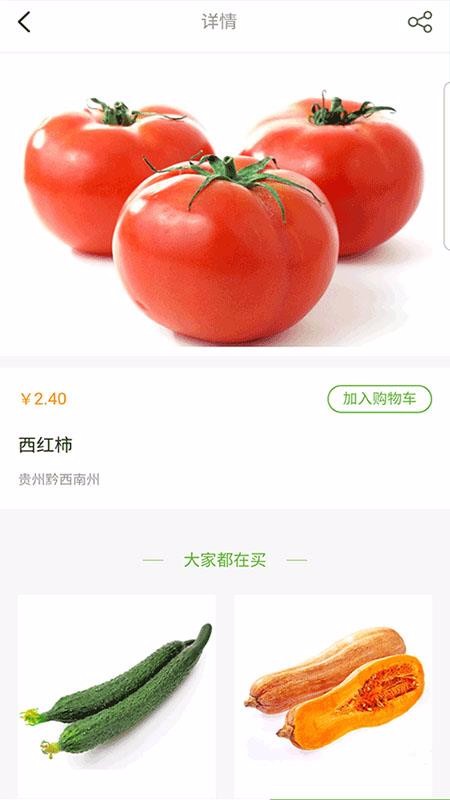 ǭֻapp-ǭ v1.0.18 ׿