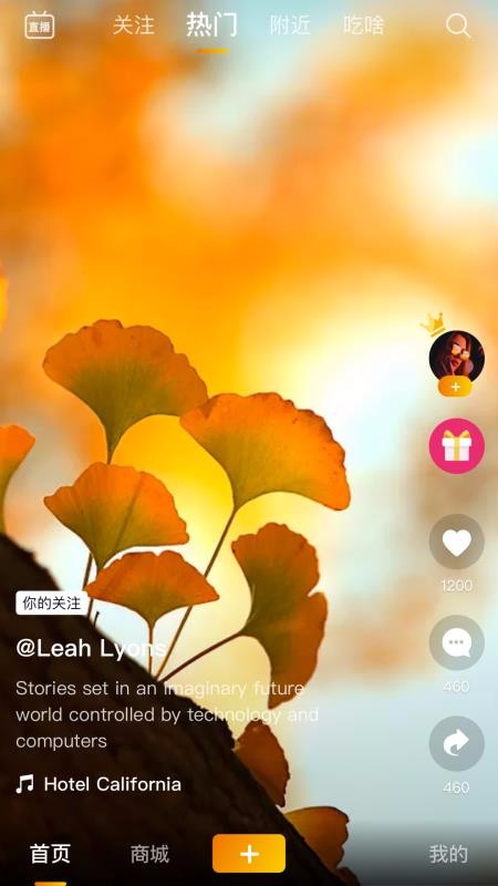 ɫֻapp-ɫ v1.0.0 ֻ