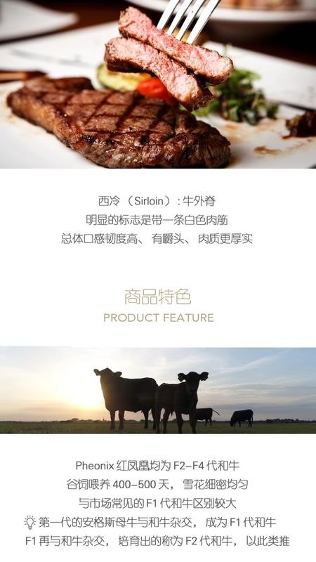 ⹺ֻapp-⹺ v1.0.11 ֻ