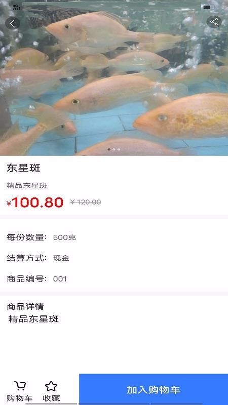ʱʺֻ̳app-ʱʺ̳ v1.10 ׿