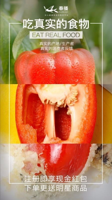 ֻapp- v5.5.0 ׿