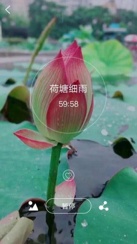 �������ֻ�app�������-������ v6.00.3 �ֻ���