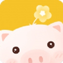 �����������°��������-��������2021���°��������