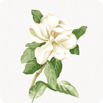 ����ת�칫�ֻ�app�������-����ת�칫 v1.2.1 �ֻ���