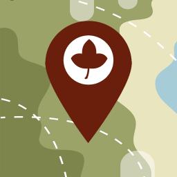 ��;�ֻ�app�������-��; v3.3.2 �ֻ���