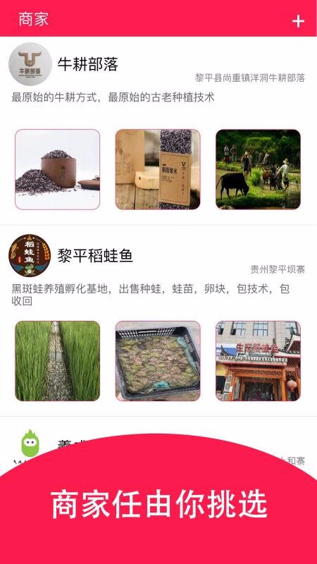 �������ֻ�app�������-������ v1.5 ��׿��