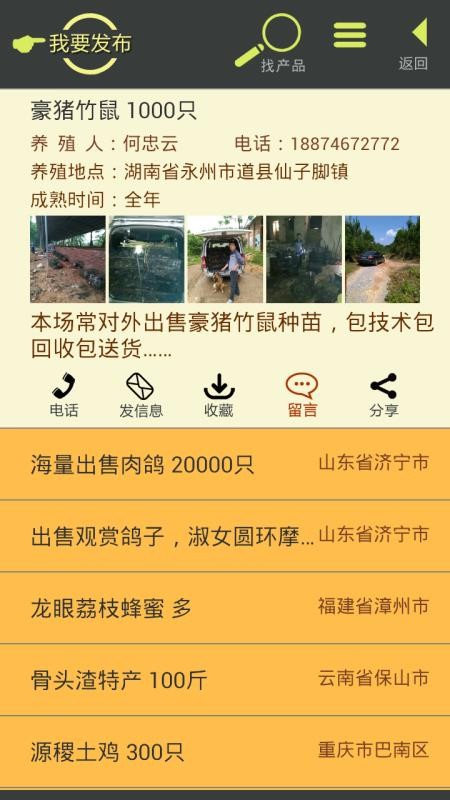 �������ֻ�app�������-������ v3.1 ��׿��