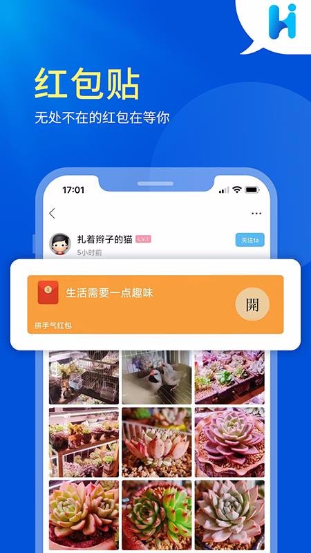 Hi콡ֻapp-Hi콡 v1.0 ֻ