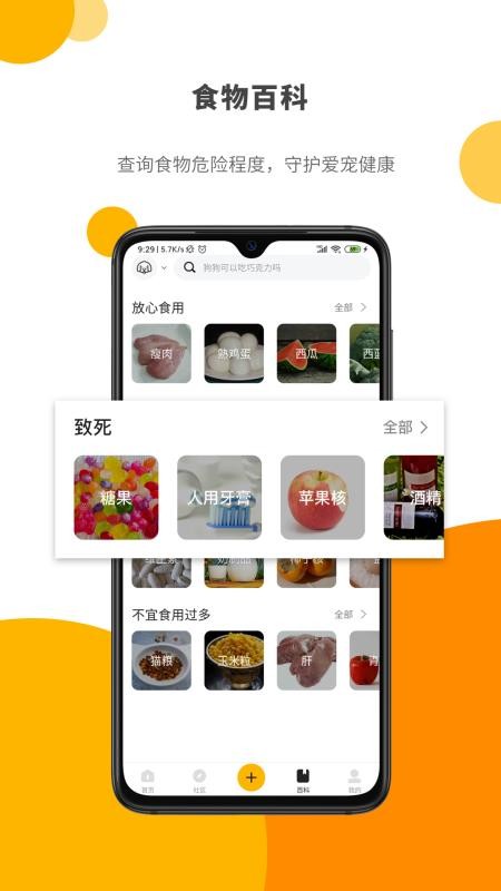 Paw Labֻapp-Paw Lab v1.2.6 ׿