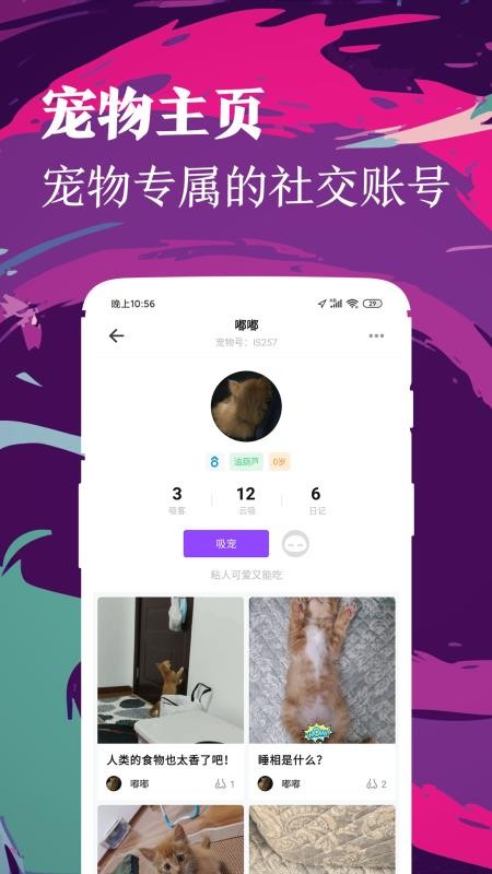 ʺֻapp-ʺ v1.0.8 ֻ