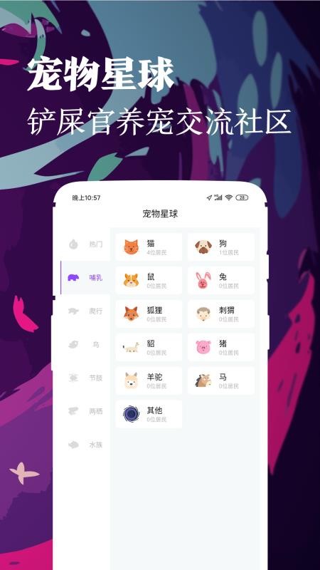 ʺֻapp-ʺ v1.0.8 ֻ