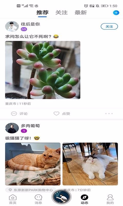 ֻapp- v1.1.0 ֻ