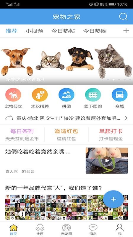 ֻ֮app-֮ v2.6 ֻ