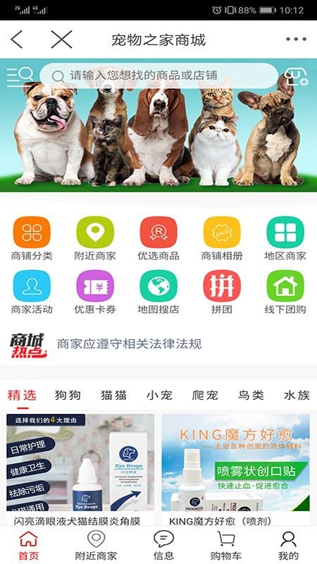 ֻ֮app-֮ v2.6 ֻ