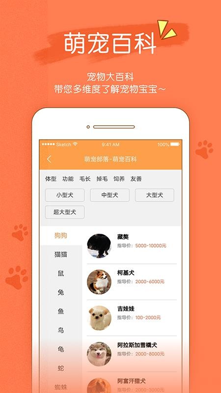ﲿֻapp-ﲿ v1.0.74 ֻ