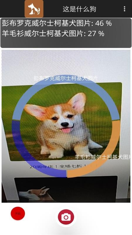 ʲôֻapp-ʲô v1.0 ֻ
