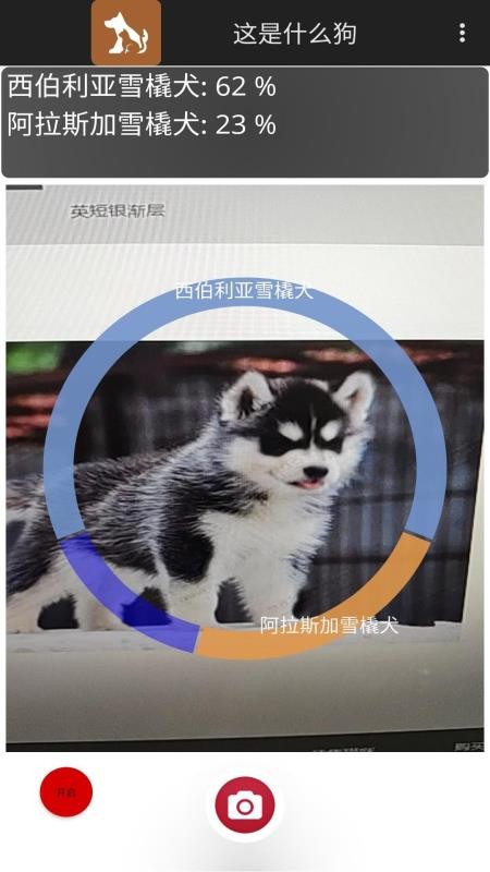 ʲôֻapp-ʲô v1.0 ֻ