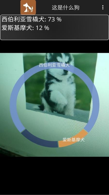 ʲôֻapp-ʲô v1.0 ֻ