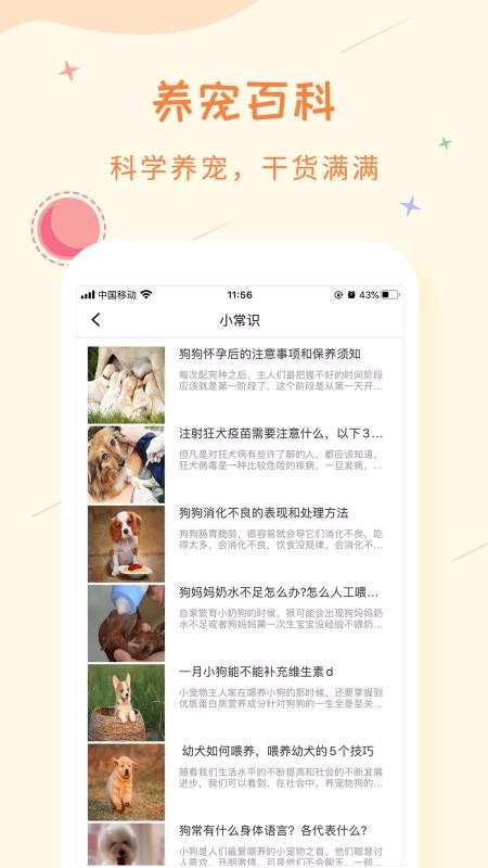 ֻapp- v2.1.1 ׿