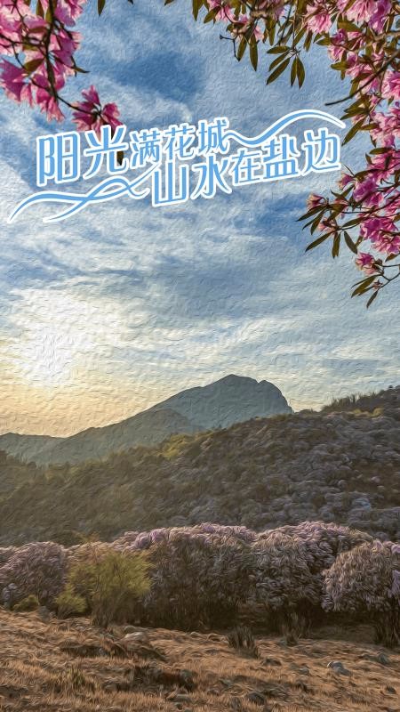ɽˮαֻapp-ɽˮα v1.1.4 ֻ