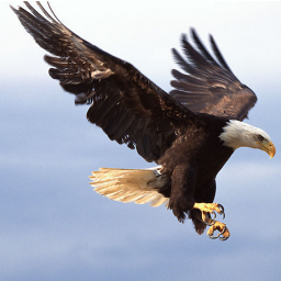 ˼���ֻ�app�������-˼�� v2.0.8 �ֻ���