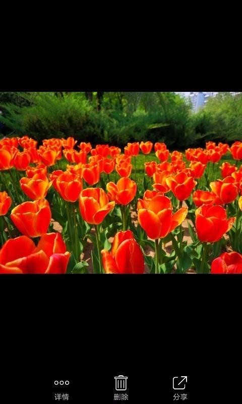 �ļ��ܼ��ֻ�app�������-�ļ��ܼ� v1.0.6.0 �ֻ���