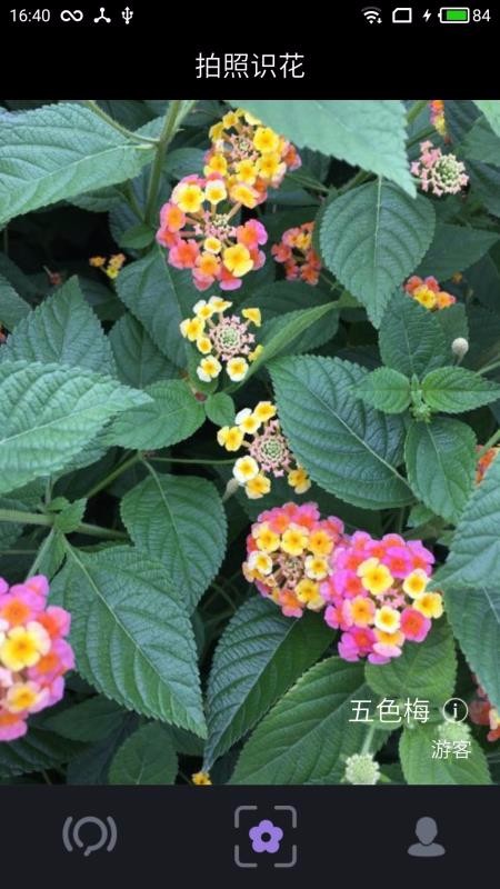 ����ʶ���ֻ�app�������-����ʶ�� v2.1.13 ��׿��