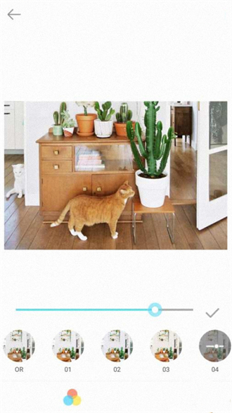 ͼ2021ֻapp-ͼ2021°氲׿v1.1