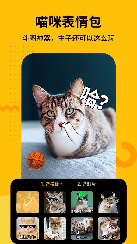 צߴֻapp-צߴ v2.0 ֻ