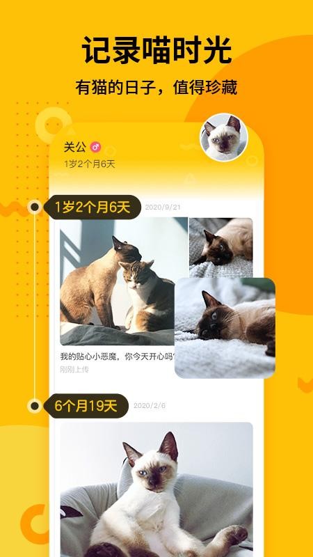 צߴֻapp-צߴ v2.0 ֻ