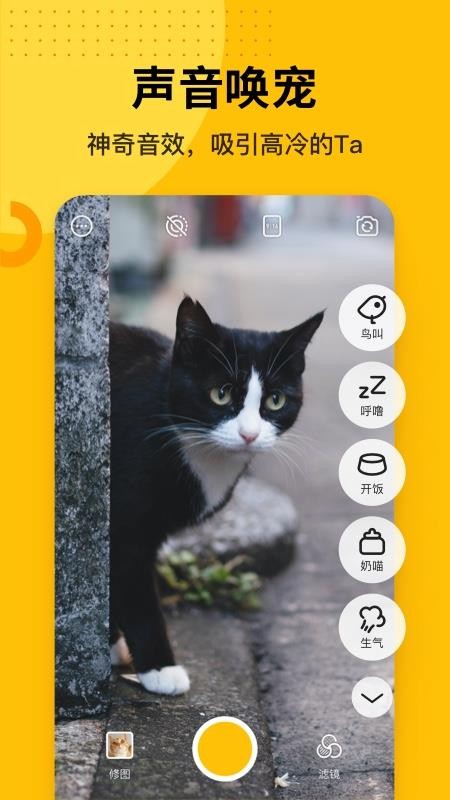 צߴֻapp-צߴ v2.0 ֻ