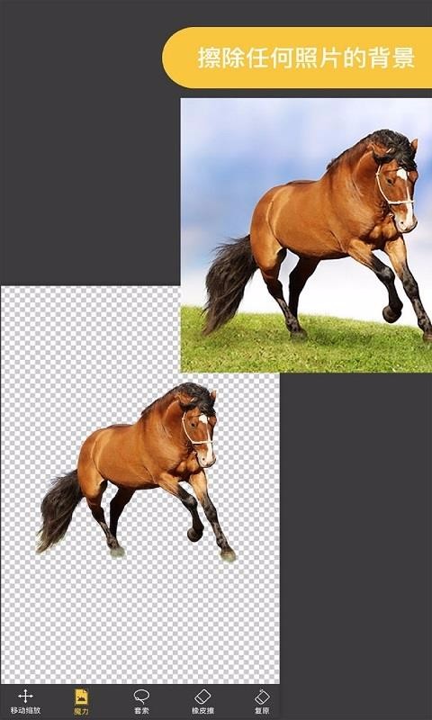 Pro knockout - Mix Photo Editorֻapp-Pro knockout - Mix Photo Editor v3.8 ֻ