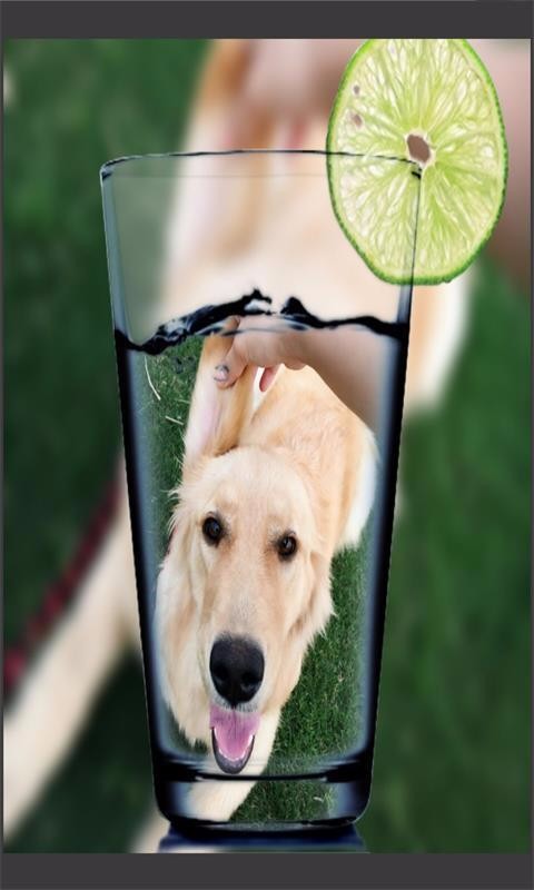 Ȥͼֻapp-Ȥͼ v8081.20.8.18 ֻ