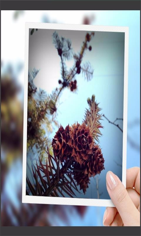 Ȥͼֻapp-Ȥͼ v8081.20.8.18 ֻ