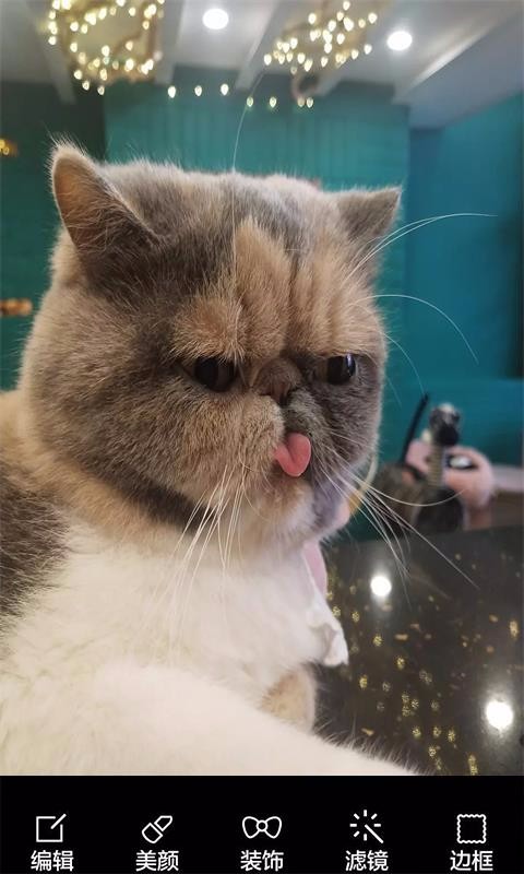 ұֻapp-ұ v8081.20.8.18 ׿