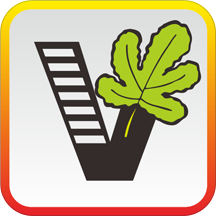 ��Ҫ��ѧ���ֻ�app�������-��Ҫ��ѧ�� v1.6.17 ��׿��